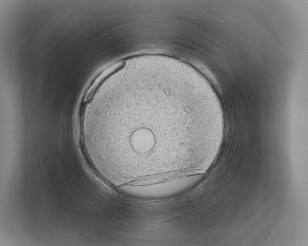 X0000111131080200908111034
