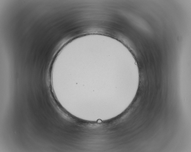X0000111131082200908111034