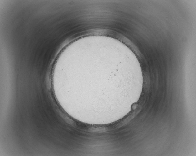X0000111131083200908111034