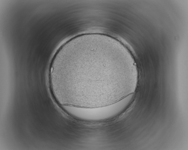 X0000111131085200908111034