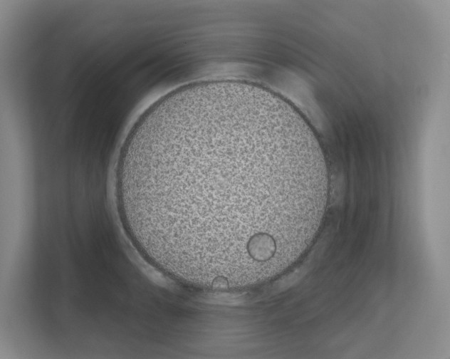 X0000111131086200908111034