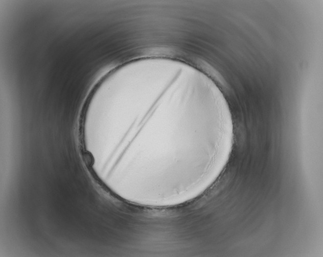 X0000111131087200908111034