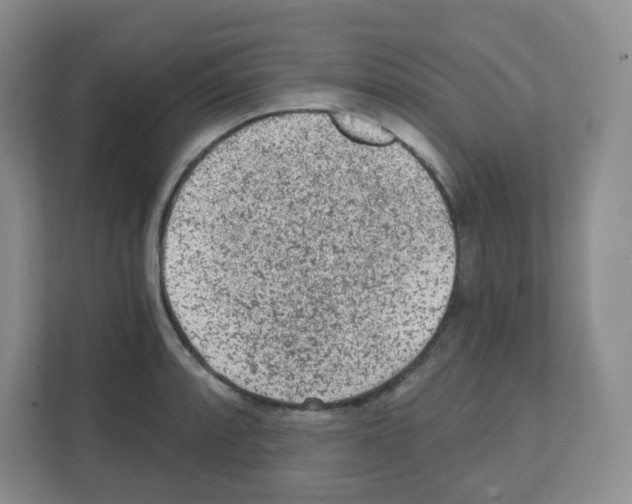 X0000111131088200908111034