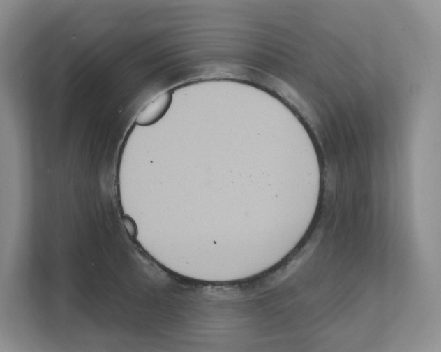 X0000111131089200908111034