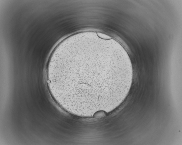 X0000111131092200908111034