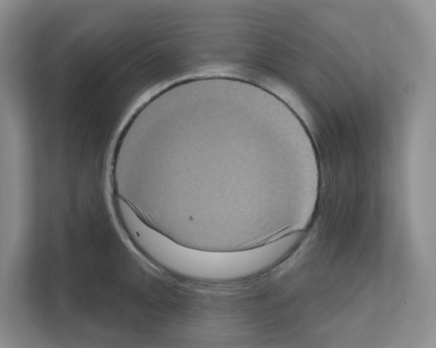 X0000111131093200908111034