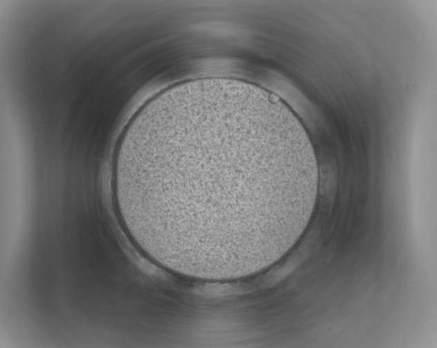 X0000111131094200908111034