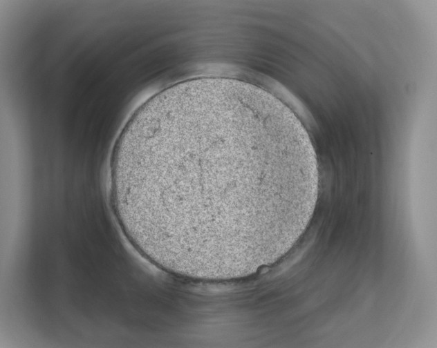 X0000111131095200908111034