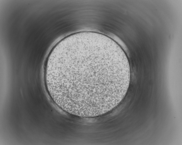 X0000111131096200908111034