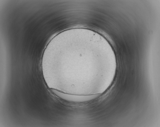 X0000111131097200908111034
