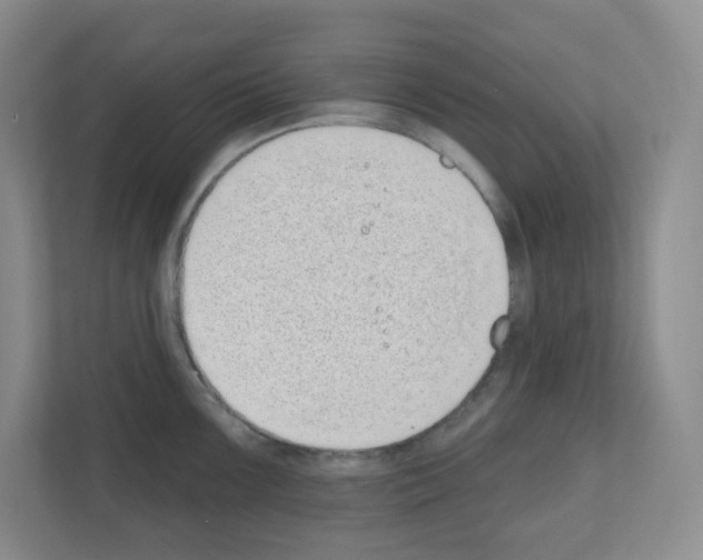 X0000111131099200908111034