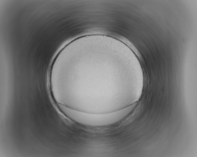 X0000111131101200908111034