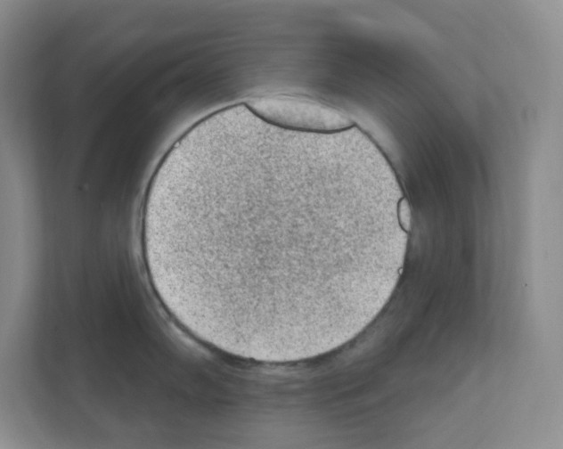 X0000111131102200908111034