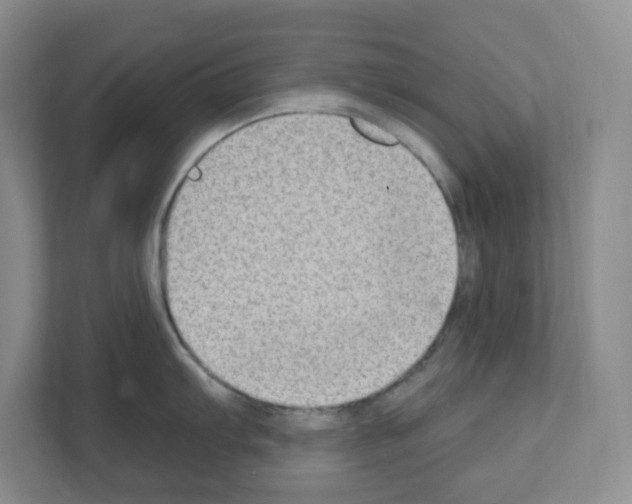 X0000111131103200908111034