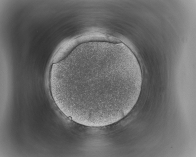 X0000111131104200908111034