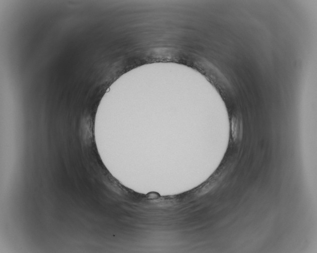 X0000111131107200908111033