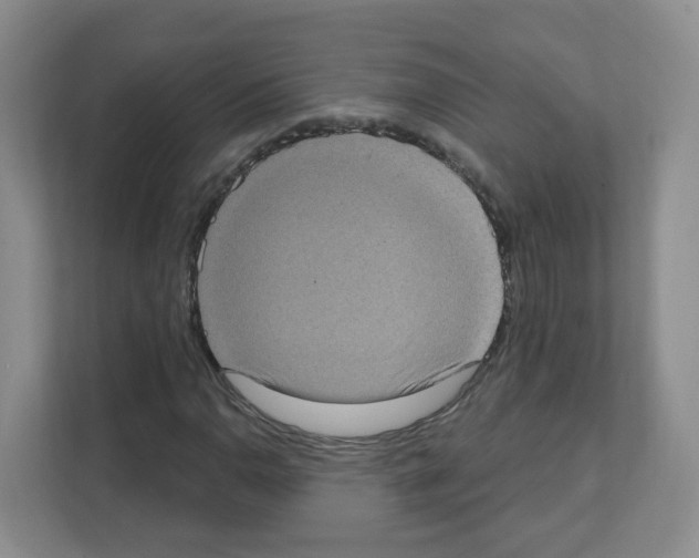X0000111131110200908111033