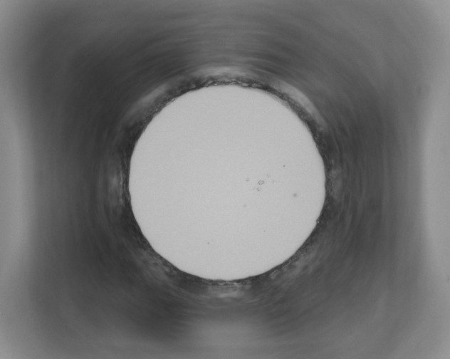 X0000111131111200908111033