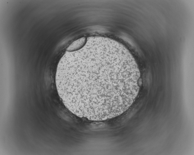 X0000111131112200908111033