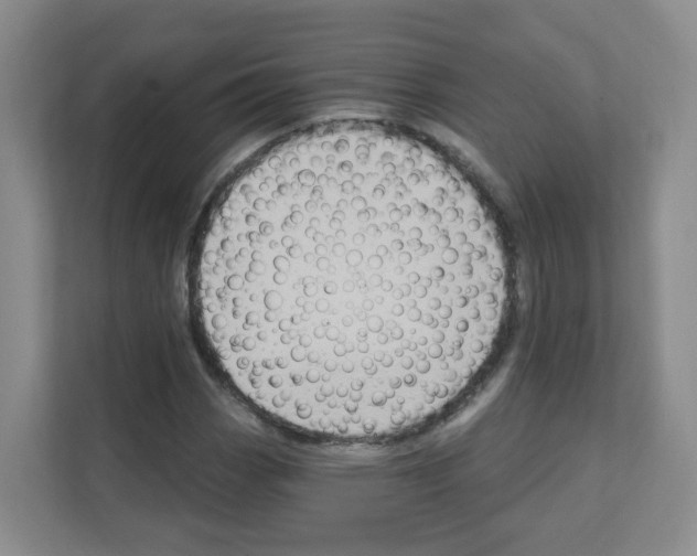 X0000111131113200908111033