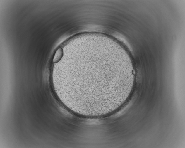 X0000111131114200908111033