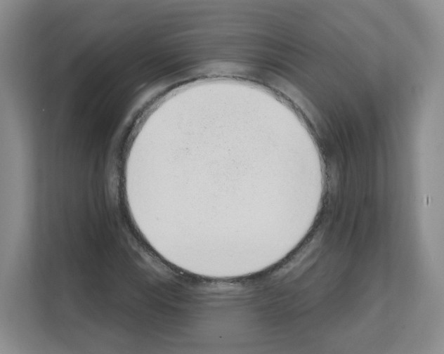 X0000111131115200908111033