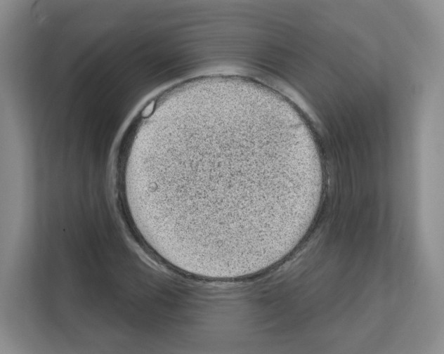 X0000111131116200908111033