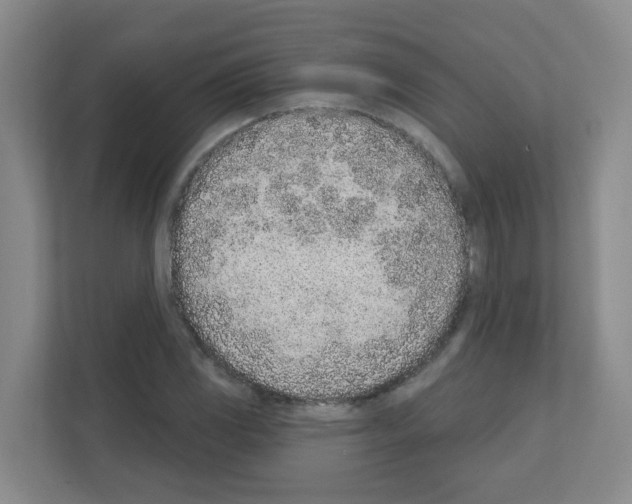 X0000111131117200908111033
