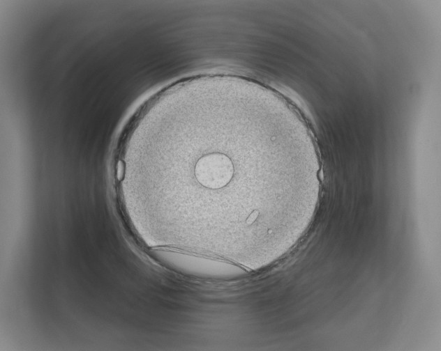 X0000111131120200908111033