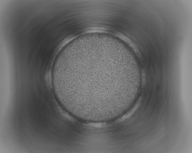 X0000111131121200908111033