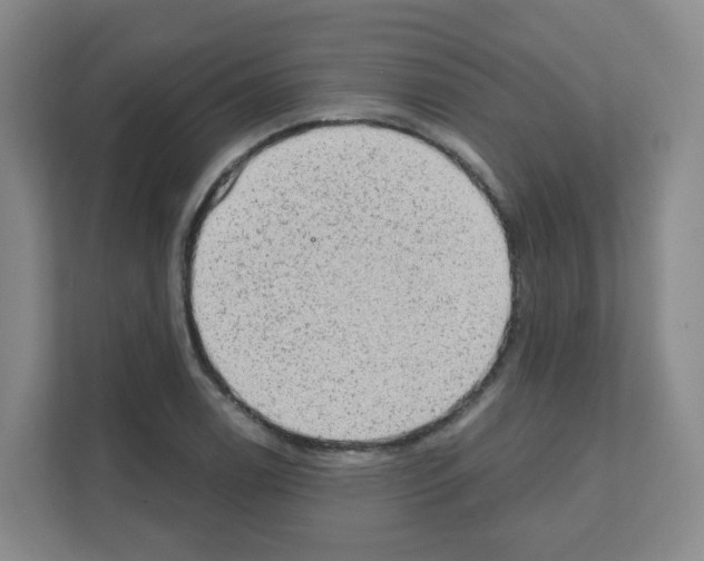 X0000111131122200908111033