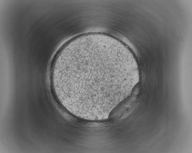 X0000111131124200908111033