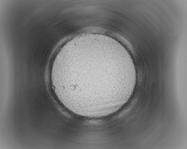 X0000111131125200908111033