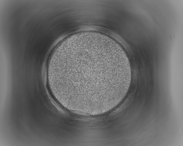 X0000111131127200908111033