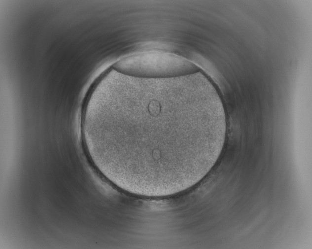 X0000111131128200908111033