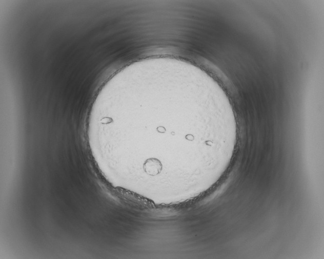 X0000111131129200908111033