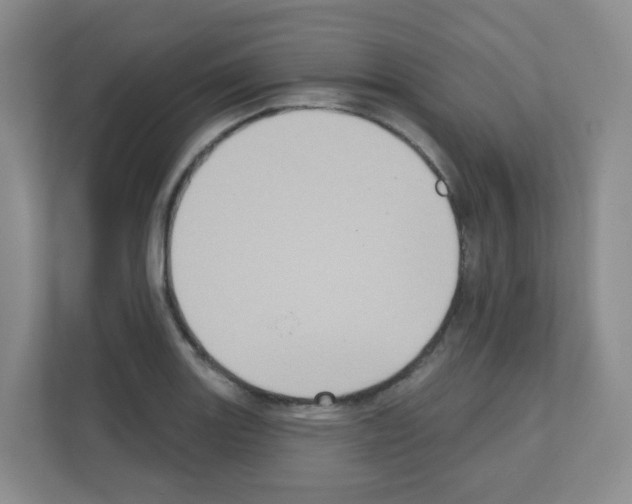 X0000111131131200908111033