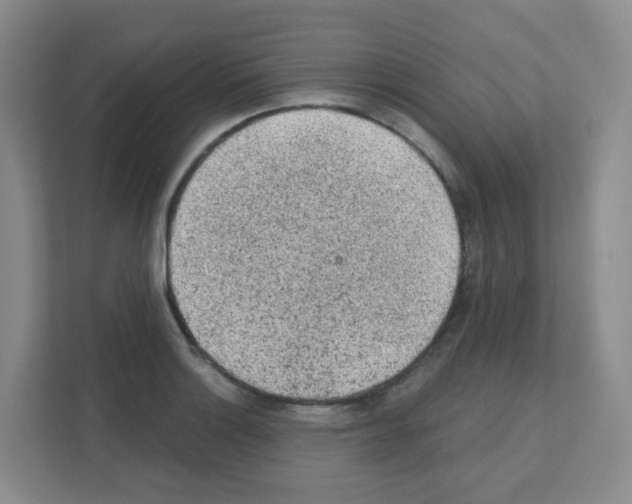 X0000111131132200908111033