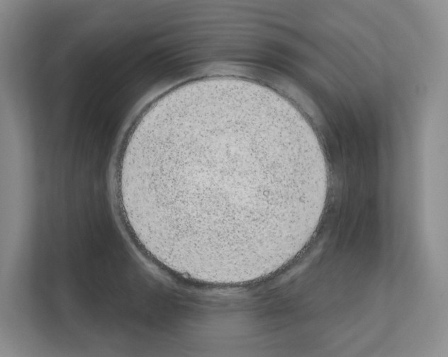 X0000111131133200908111034