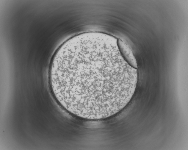X0000111131134200908111034