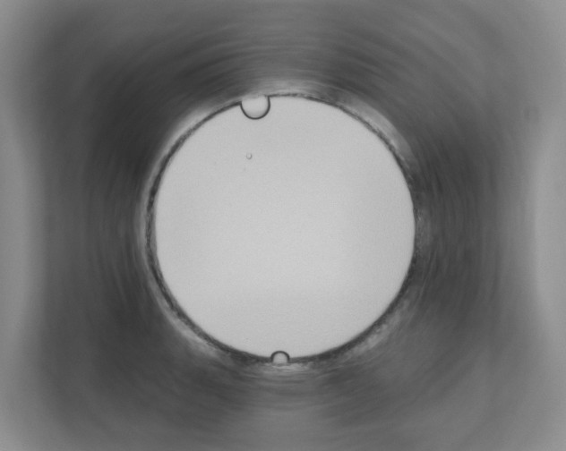 X0000111131135200908111034