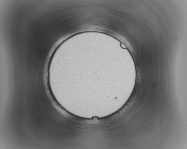 X0000111131136200908111034