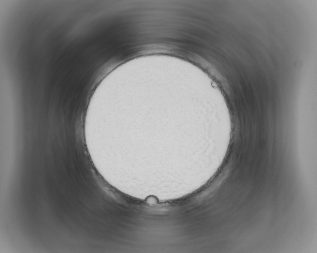 X0000111131137200908111034
