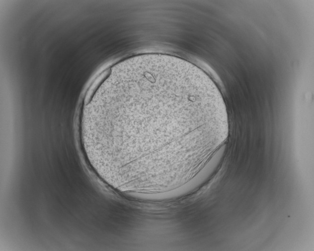X0000111131138200908111034
