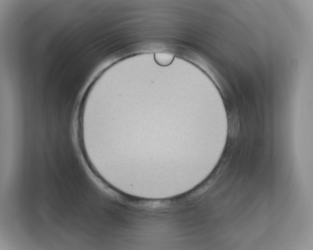 X0000111131139200908111034