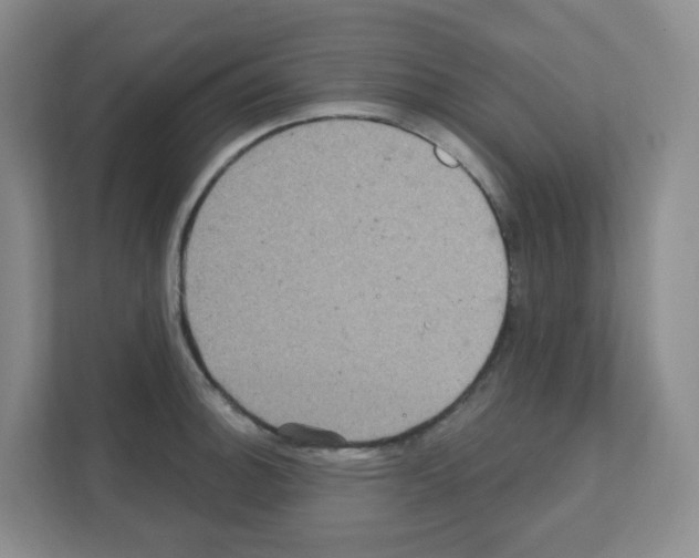 X0000111131140200908111034