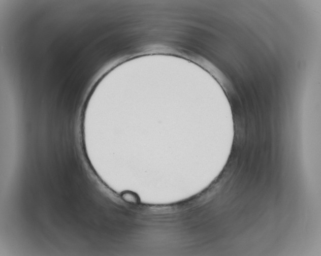 X0000111131142200908111034