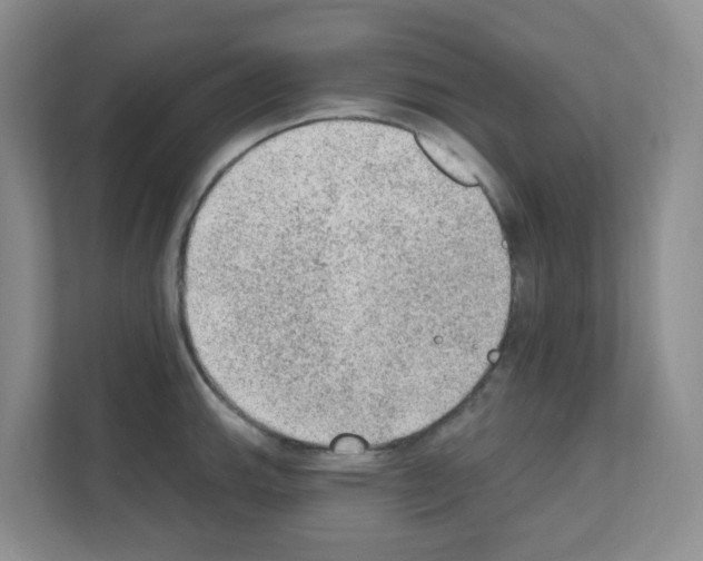X0000111131143200908111034