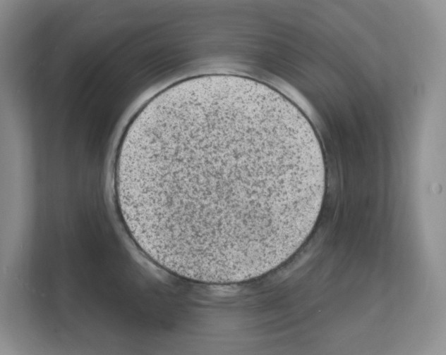 X0000111131144200908111034
