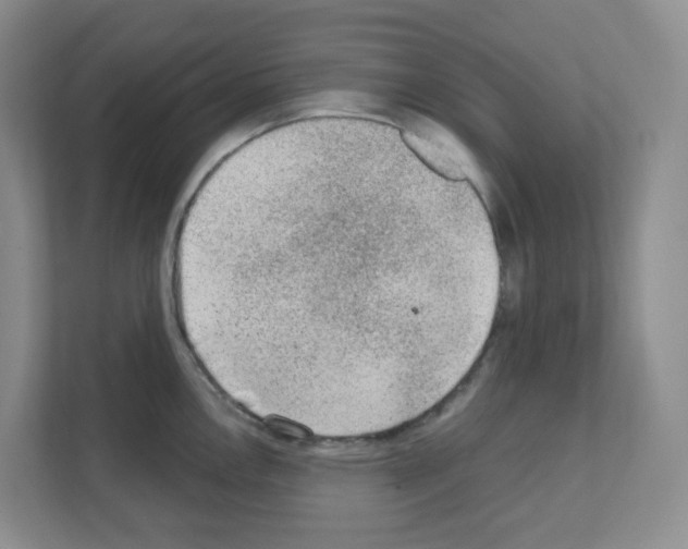 X0000111131146200908111034